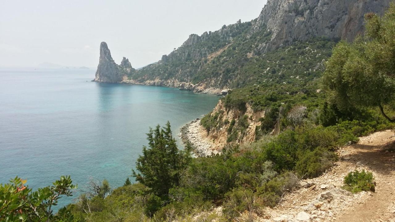 Camera Ideale Tra Mare E Montagna 包内伊 外观 照片