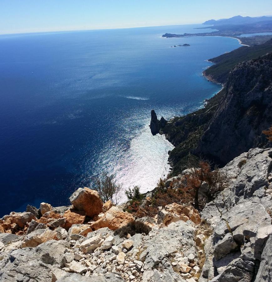 Camera Ideale Tra Mare E Montagna 包内伊 外观 照片